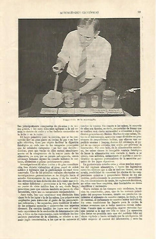 LAMINA ESPASA 21879: Composicion de la mantequilla