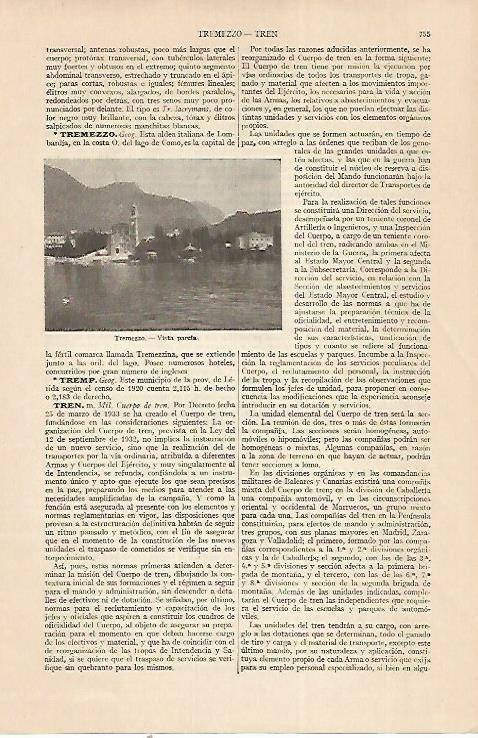 LAMINA ESPASA 22412: Vista de Tremezzo Italia