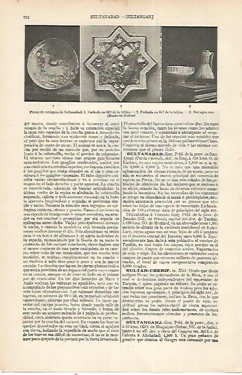 LAMINA ESPASA 22568: Ceramica de Sultanabad