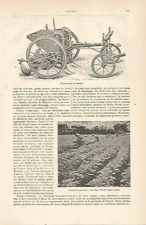 LAMINA ESPASA 23439: Sembradora de patatas