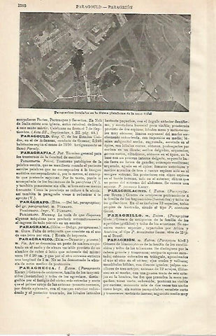 LAMINA ESPASA 23602: Paragranizos en la Torre Eiffel
