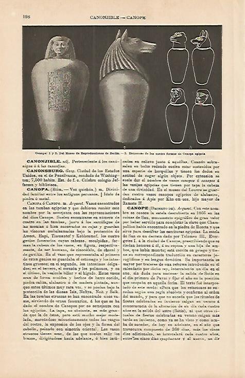 LAMINA ESPASA 4223: Vasos canopos