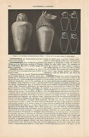 LAMINA ESPASA 4223: Vasos canopos