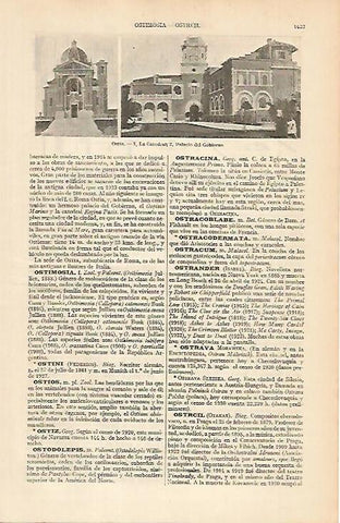 LAMINA ESPASA 4988: Vistas de Ostia Italia
