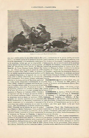 LAMINA ESPASA 4291: Patria fe y amor. Obra de Carabonell