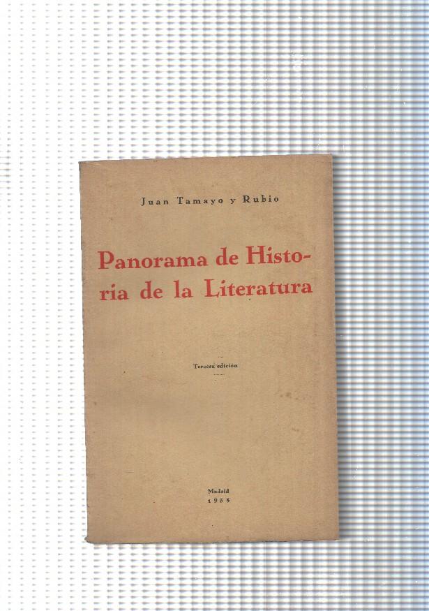 Panorama de Historia de la Literatura