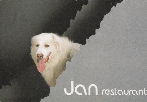 POSTAL B8301: JAN RESTAURANT. IMAGEN CANINA