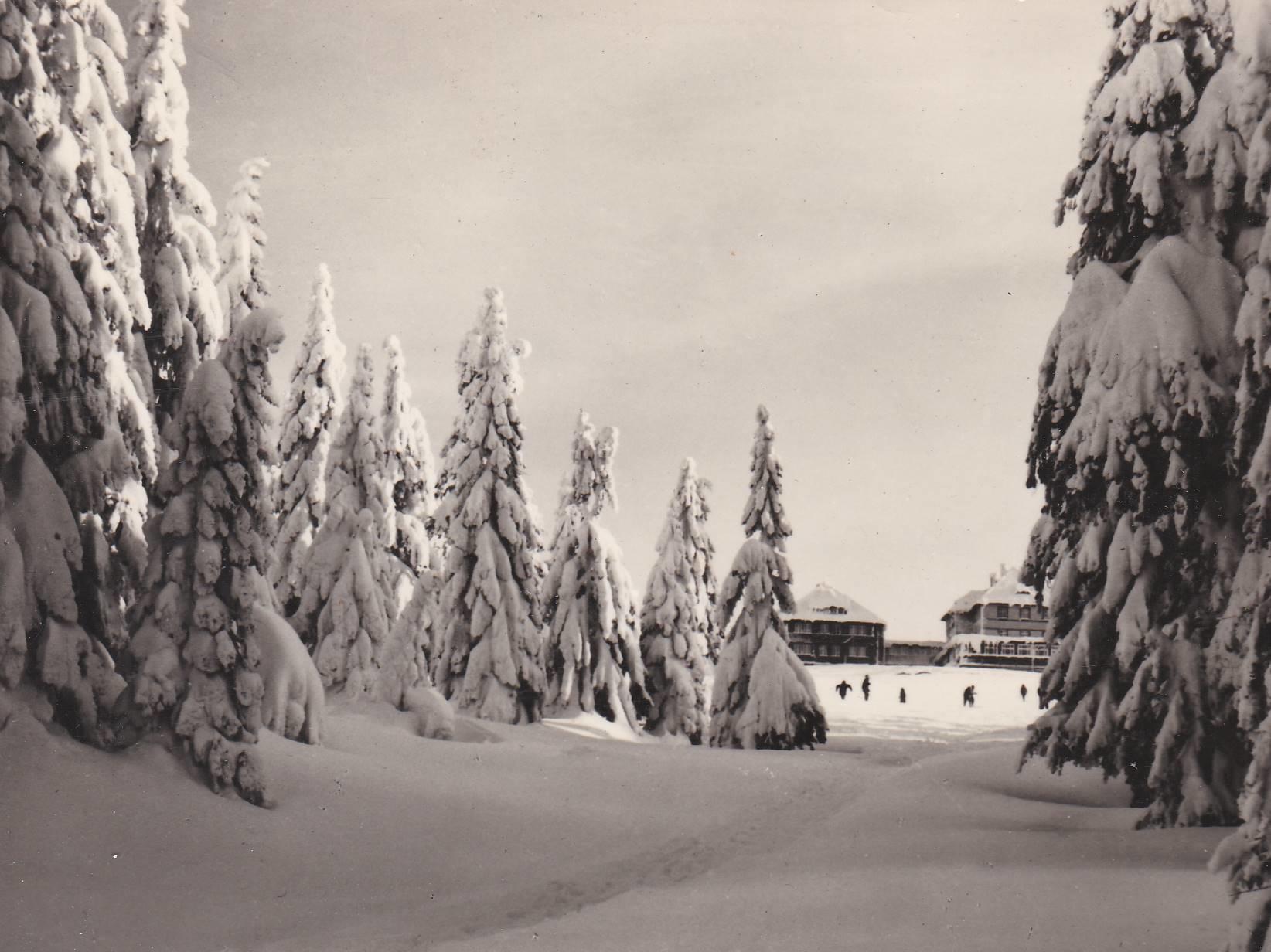 POSTAL B8351: PRAGA: KARKONOSZE
