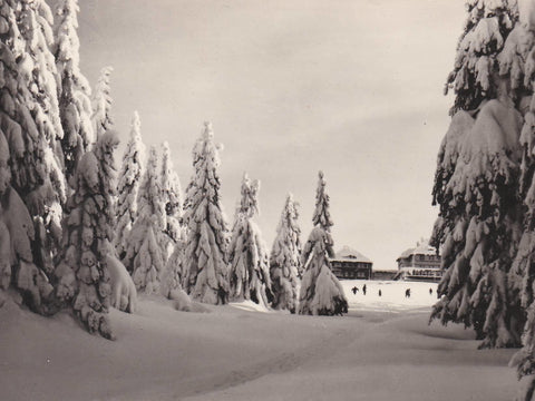 POSTAL B8351: PRAGA: KARKONOSZE