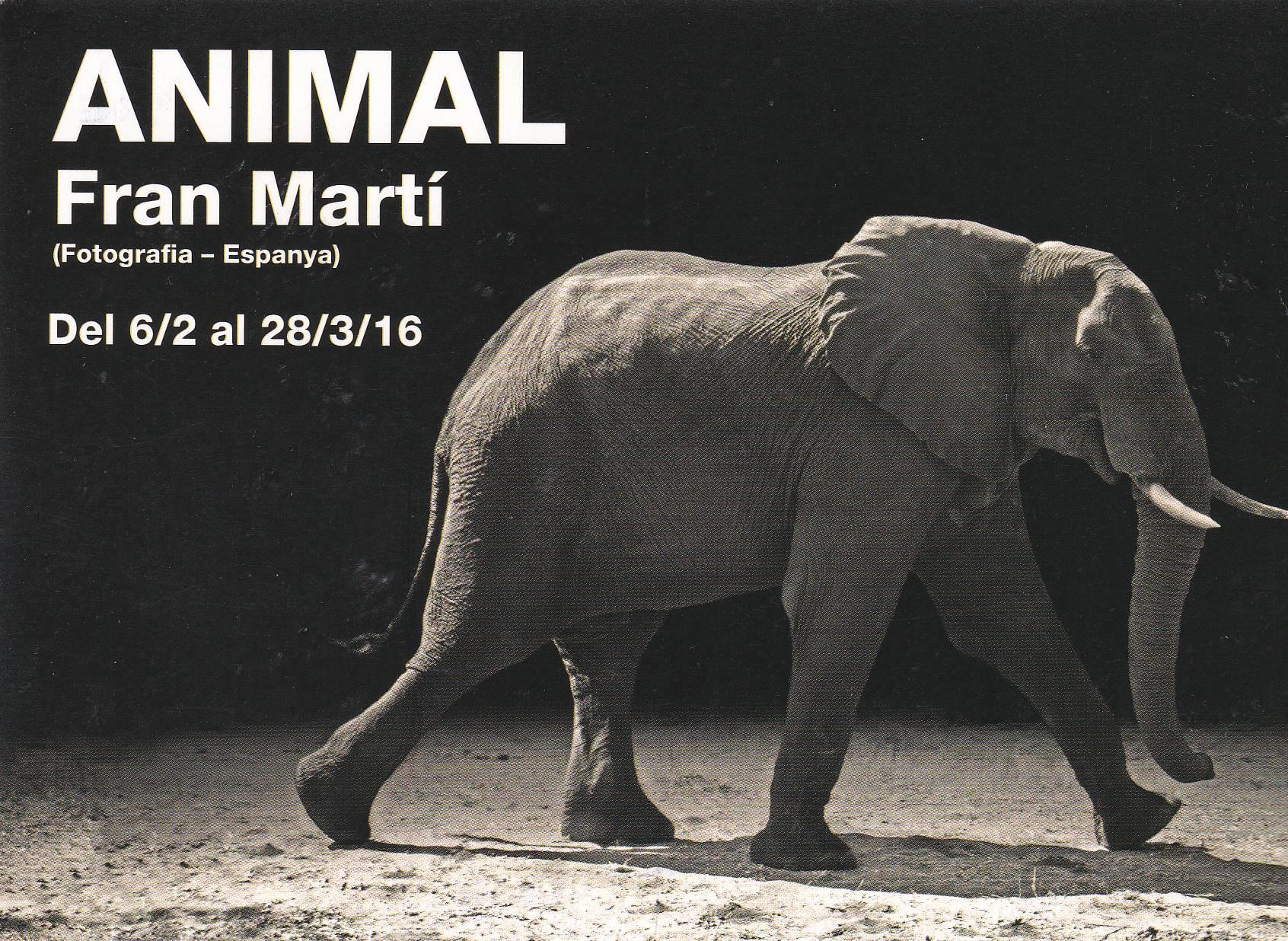 POSTAL B8378: EXPOSICION SITGES: ARTE CONTEMPORANEO