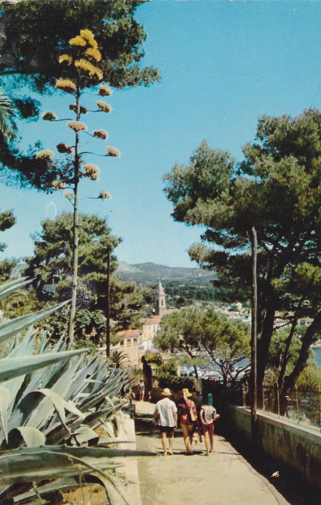 POSTAL B8391: SANARY: CHEMIN DE L ORATOIRE