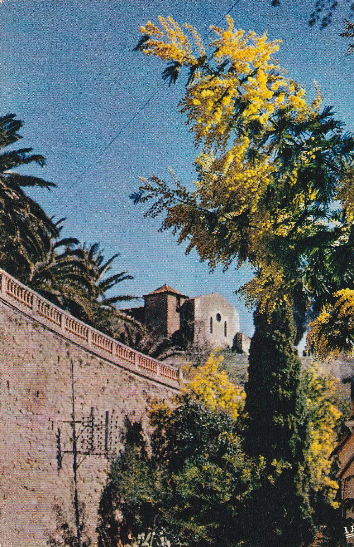POSTAL B8392: NIZA: VISTA DE LAS MIMOSAS