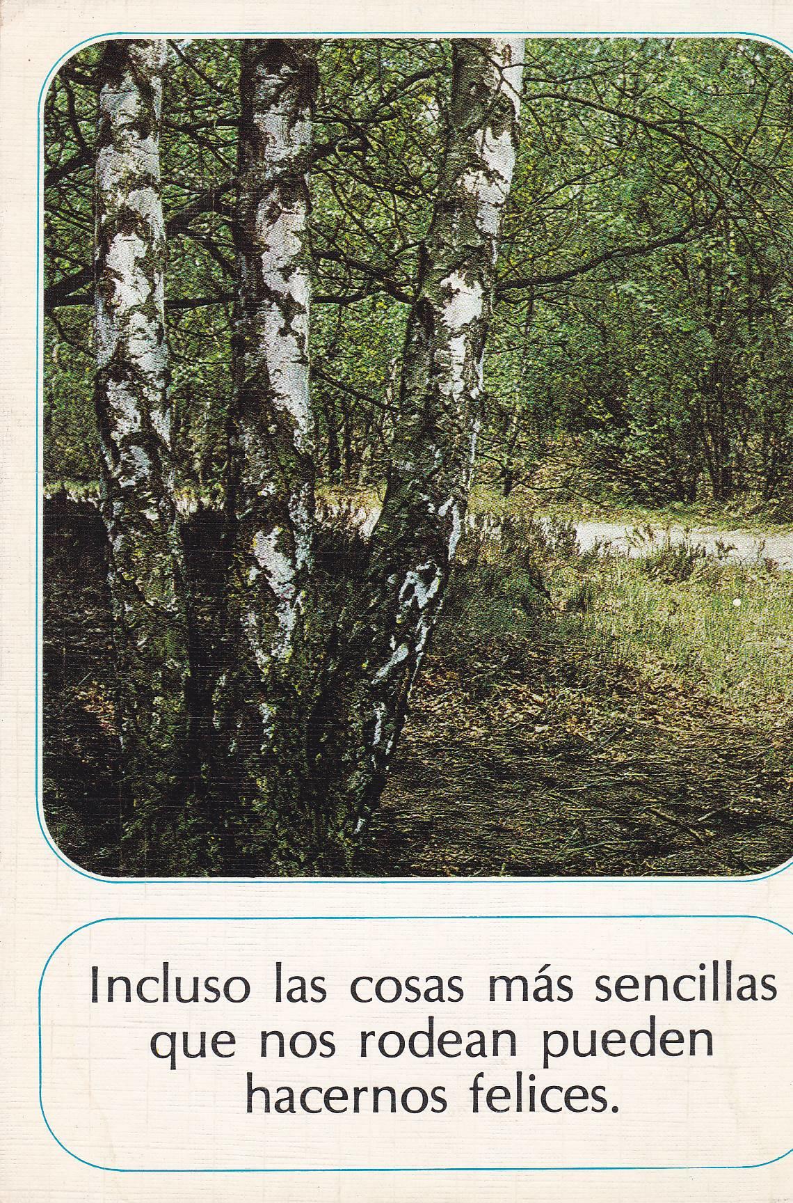 POSTAL B8426: INCLUSO LAS COSAS MAS SENCILLAS…