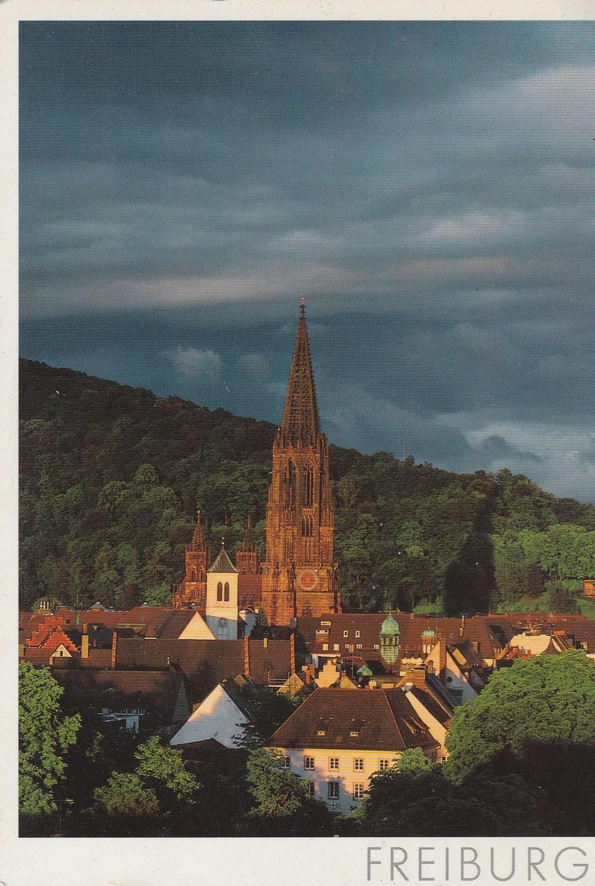POSTAL B8451: FREIBURGER ANSICHTEN