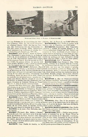 LAMINA ESPASA 30711: Palacio de Bachtchissari Rusia