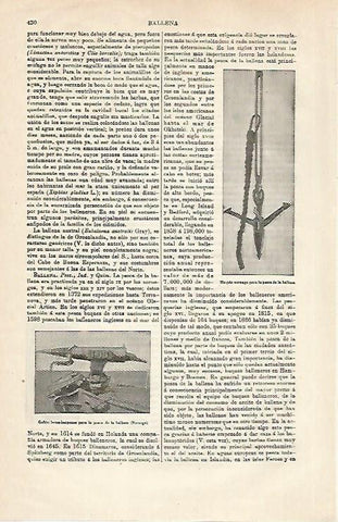 LAMINA ESPASA 30763: Harpon noruego