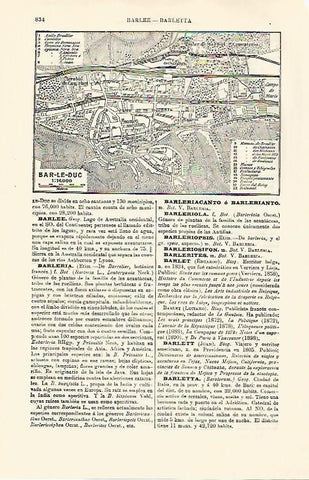 LAMINA ESPASA 30835: Plano de Bar le Duc Francia