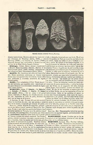 LAMINA ESPASA 30928: Babuchas orientales