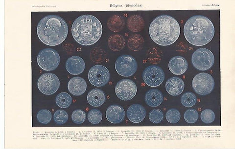 LAMINA ESPASA 30941: Monedas de Belgica