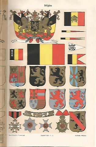 LAMINA ESPASA 30943: Banderas y escudos de Belgica