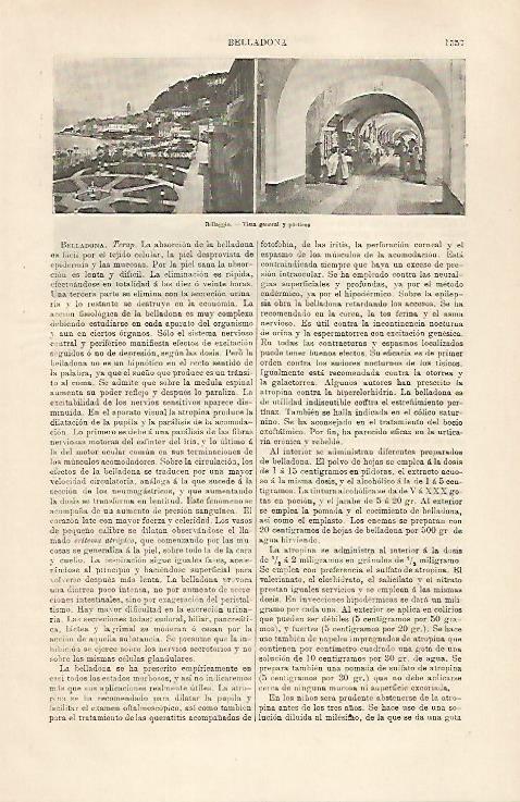 LAMINA ESPASA 30950: Vista y porticos de Bellaggio Italia