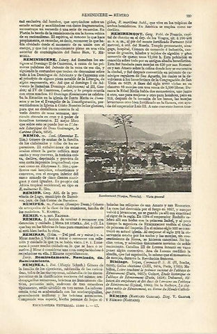 LAMINA ESPASA 31038: Vista de Remiremont Francia