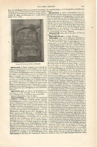 LAMINA ESPASA 31044: Tumba de Enriqueta Renan en Amschit
