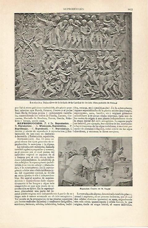 LAMINA ESPASA 31065: Los reprobos de la Catedral de Oviedo