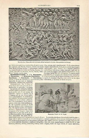 LAMINA ESPASA 31065: Los reprobos de la Catedral de Oviedo