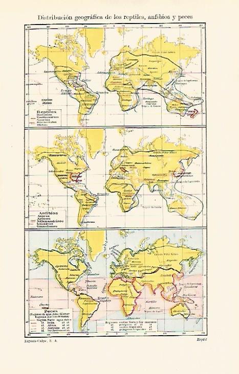 LAMINA ESPASA 31066: Mapa de reptiles anfibios y peces