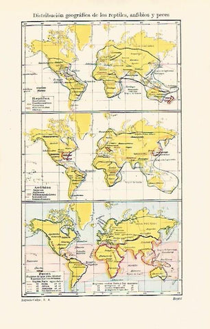 LAMINA ESPASA 31066: Mapa de reptiles anfibios y peces