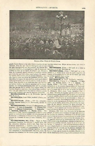 LAMINA ESPASA 31100: Retreta militar dibujo de R. Balaca