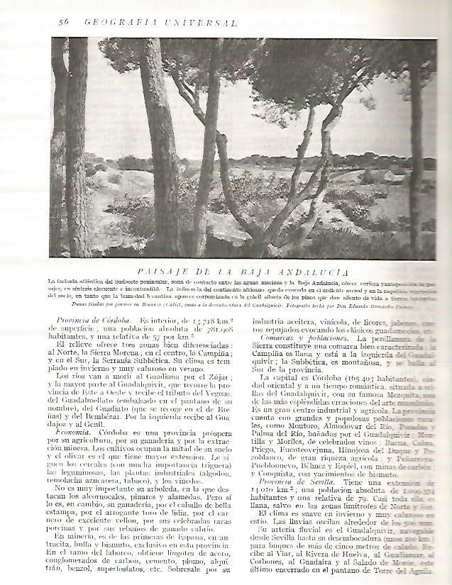LAMINA 3061: ESPAÑA. Pinares en Bonanza Cadiz