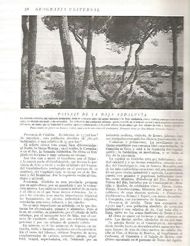 LAMINA 3061: ESPAÑA. Pinares en Bonanza Cadiz