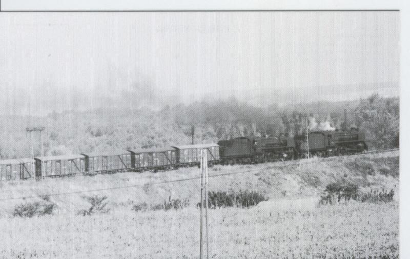 Postal 012705: Tren de mercancias a la salida de Castejon (Navarra), años 60