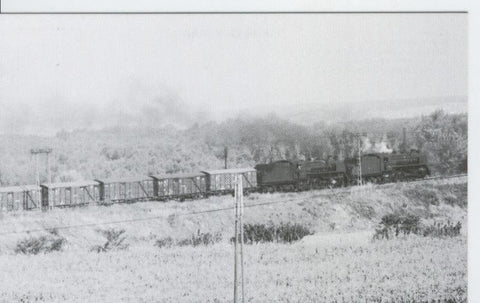 Postal 012705: Tren de mercancias a la salida de Castejon (Navarra), años 60