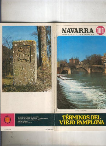 Navarra temas de cultura popular numero 101: Terminos del viejo pamplona