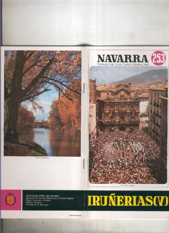 Navarra temas de cultura popular numero 253: Iruñerias V