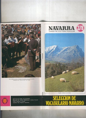 Navarra temas de cultura popular numero 378: Seleccion de vocabulario navarro