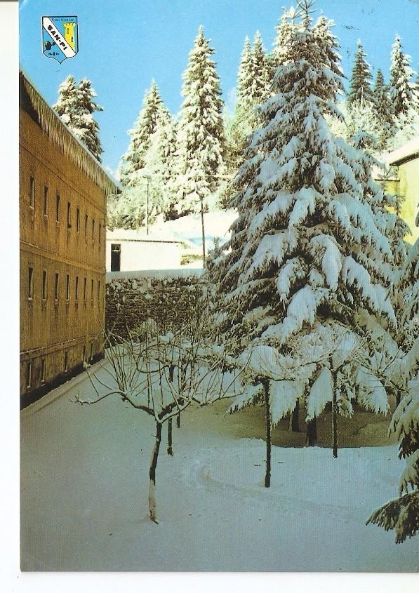 Postal 041383 : Roncesvalles (Navarra). Paisaje nevado de Roncesvalles
