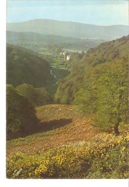 Postal 048087 : Roncesvalles (Navarra) 