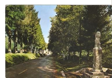 Postal 048088 : Roncesvalles (Navarra). Cruz de los Peregrinos