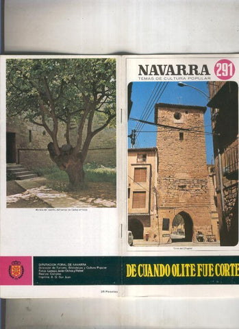 Navarra temas de cultura popular numero 291: De cuando Olite fue corte
