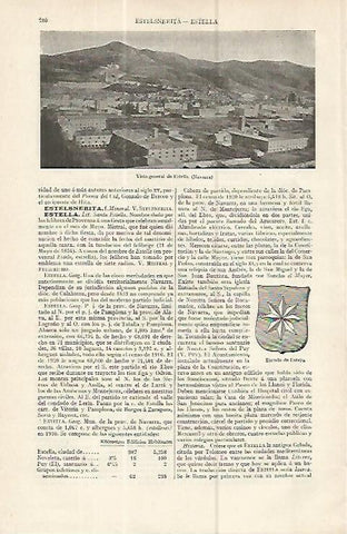 LAMINA ESPASA 16367: Vista general y escudo de Estella Navarra