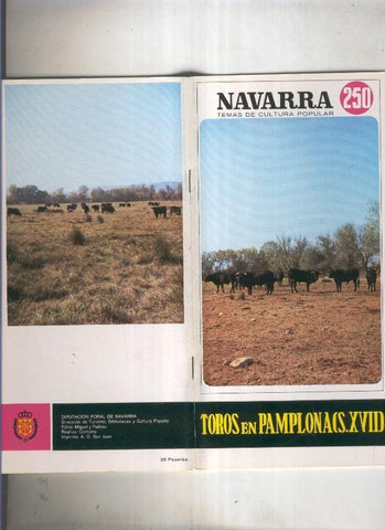 Navarra temas de cultura popular numero 250: Toros en Pamplona, siglo XVII