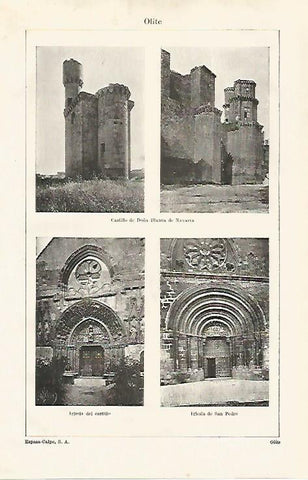 LAMINA ESPASA 21367: Castillo de Olite Navarra