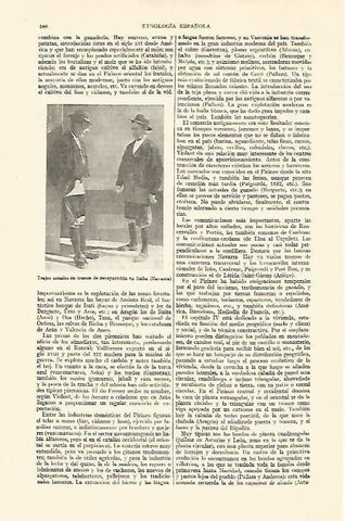 LAMINA ESPASA 21975: Trajes tipicos de Isaba Navarra