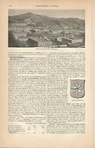 LAMINA ESPASA 7956: Vista general de Estella Navarra
