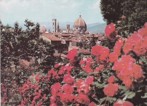 POSTAL B8627: FIRENZE: PANORAMA