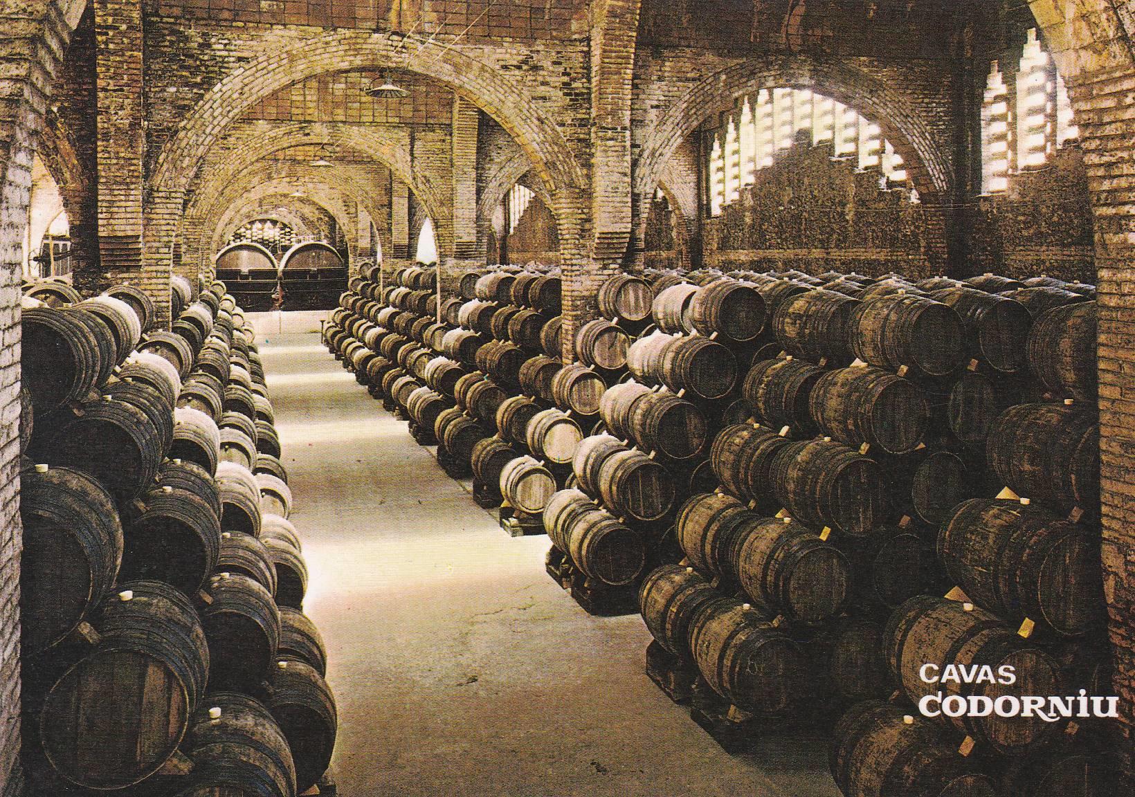 POSTAL B8666: CAVAS CODORNIU: UNA BODEGA